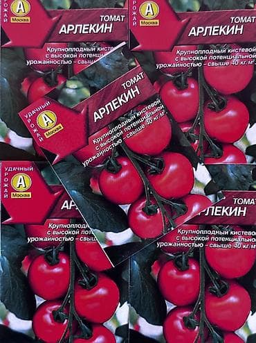 Məhsuldar pomidor toxumu 🍅