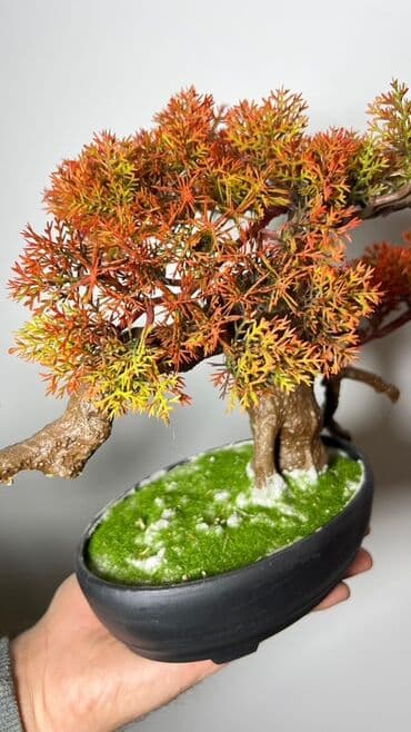 budda: Süni bonsai ağacı – dekorativ içməkan yaşıllaşdırma üçün - Realistik — 8