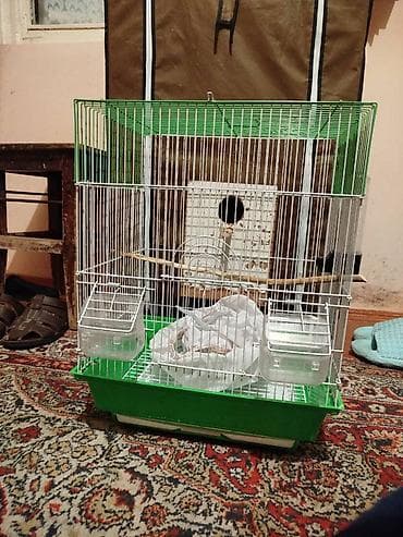 qefesler: Yuva ile birlikde. 2 yem qabi. 1 su qabi. Torbasi. Taxtasi. Teze — 1