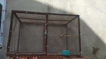 quş qəfəsi: Metall çərçivəli iri quş qəfəsi - Material: möhkəm metal karkas və — 1