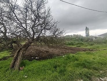 ləhiş bağları torpaq satılır: 10 sot, Biznes üçün, Mülkiyyətçi, Kupça (Çıxarış) — 7