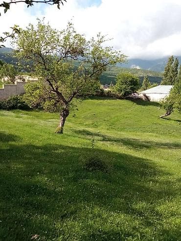 obyekt satilir: 60 sot, Kənd təsərrüfatı, Mülkiyyətçi, Kupça (Çıxarış) — 5