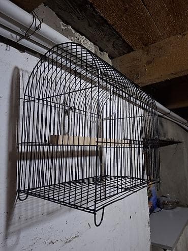 barter heyvanlar: Quş qəfəsi içində xamyak bülbül valnisy saxlamaq olar tam rahat — 2