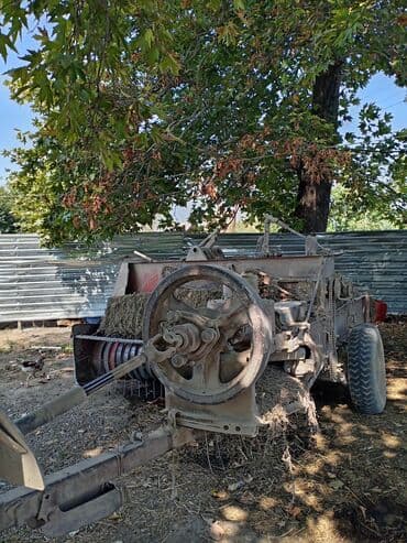 naxcivan elanlari masin: İkisi bir yerde 17500 — 10
