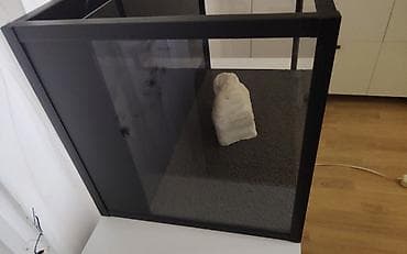 akva ayaqabılar: Akvaryum seti – şüşə çən və arxa bölməli daxili sump filtrasiyası - — 2