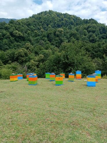 дистиллированная вода баку: Salam .Təcili pul lazim olduğu üçün çox ucuz qiymətə verirəm.Balin — 6