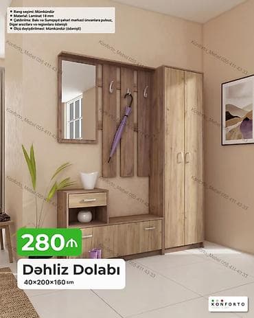dolab skaf: Dəhliz dolabı, giriş sahəsinin səliqəli və funksional təşkili üçün — 1
