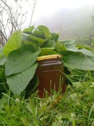 quru süd: Təbii dağ balı – şüşə qabda - Yüksək dağlıq ərazidə, çoxçeşidli — 5