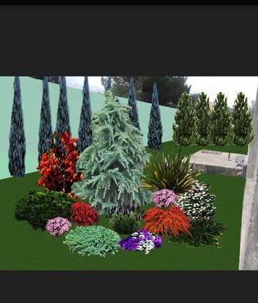 lipa ağacı: Dekarativ agaclarin satisi qazon torpaq torf diger gubrelerin satisi — 13