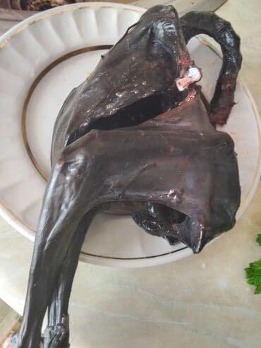 cücə və xoruz: Salam Ayam cemani,,. argenal.yumurtasi,cucesi.colpasi,,xoruzu.toyugu — 24