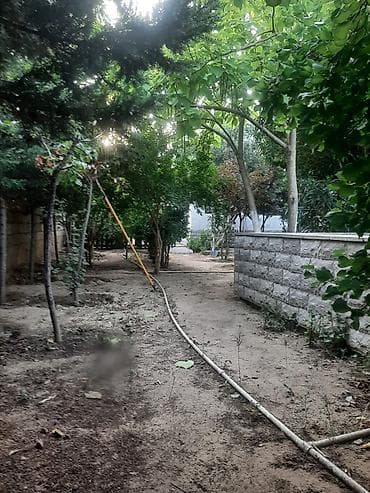 garden: Bakı, 90 kv. m, 2 otaqlı, Hovuzlu, Su — 5