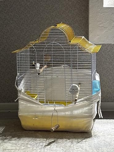 Göyərçinlər: 4 qəfəs 2 yuva 
Qiymət hamısına aitdi
Quşla biryerde isdesez 60 azn — 5