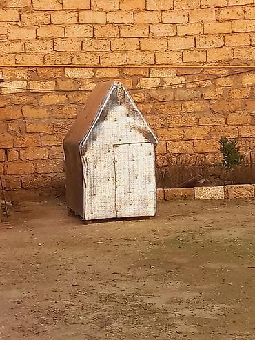 it alqi satqisi: Salam teze yiglib istiyen olsa unvan bine savxoz — 1