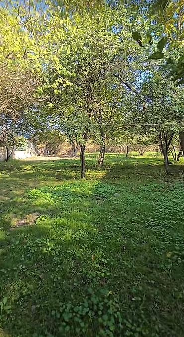 evlərin qiyməti: 27 sot, Tikinti, Mülkiyyətçi, Kupça (Çıxarış) — 2