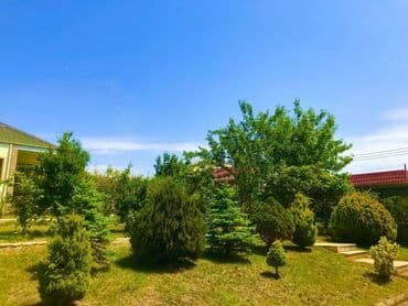 kirayə restoran: 299 kv. m, 4 otaqlı, Hovuzlu, Kombi, Kanalizasiya — 8