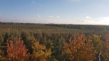 ucuz hotel: 1000 sot, Kənd təsərrüfatı, Makler, Kupça (Çıxarış) — 7