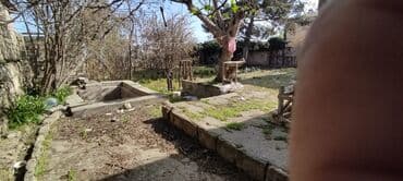 земельный участок в деревне: 6 соток, Для бизнеса, Собственник — 3