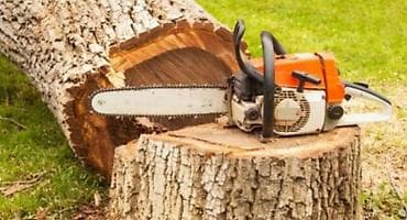 Digər tikinti xidmətləri: Ağac kesmek budamaq işləri görülür.🪚 Kotukleri səliqəli dogramaq qol — 6