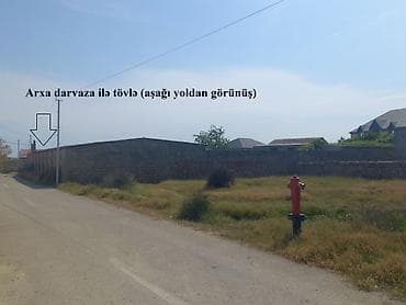 torpaa: 7 sot, Tikinti — 1