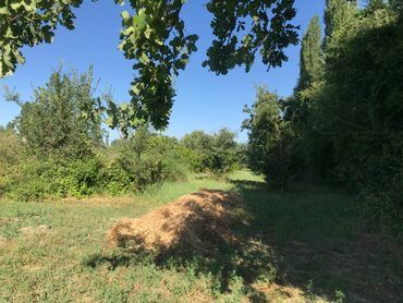 купить дом в азербайджане баку: 70 соток, Для бизнеса, Собственник, Купчая — 2