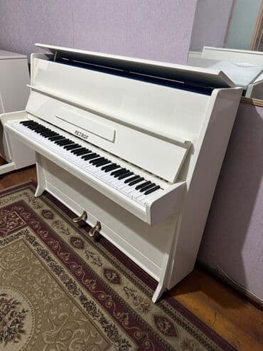 hədəf azərbaycan dili qayda kitabı qiyməti: Piano, Petrof, Akustik, Yeni, Pulsuz çatdırılma — 5