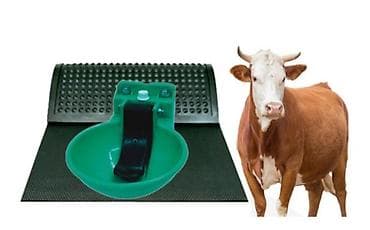 Кормушка, Для воды, Для животных, Самовывоз, Платная доставка