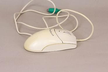 Köhnə ağ siçanları alıram