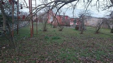 zaqatalada satilan evler 2023: 4 otaqlı, 200 kv. m, Kredit yoxdur, Orta təmir — 4