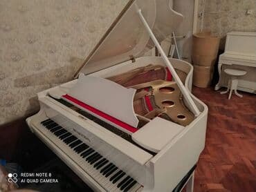 terlan elekberov: Royal! Köklənib kamertondadı! Cadırılma və köklənmə pulsuzdu — 1