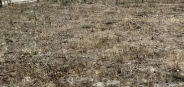 аренда помещений под кафе ресторан: Для строительства — 1