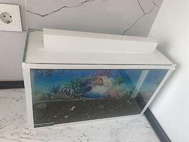 heyvan sahibləndirmə: Dördbucaq akvarium, Balıqlarla birlikdə, 15 l, Ünvandan götürmə — 6