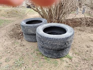 tap az zil: Şin Continental 225 / 60 / R 16 — 2