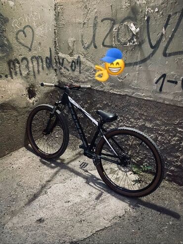 skripka 34: İşlənmiş Şəhər velosipedi 28" — 4