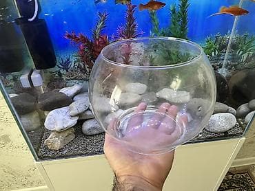 naxcivan heyvan elanlari: Yumru akvarium, Boş, 3 l, Ödənişli çatdırılma — 2