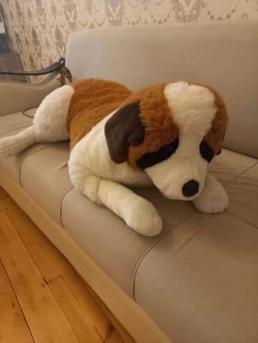 pop it qiyməti: 15 m seliqeli vezyetde baha alnib — 1