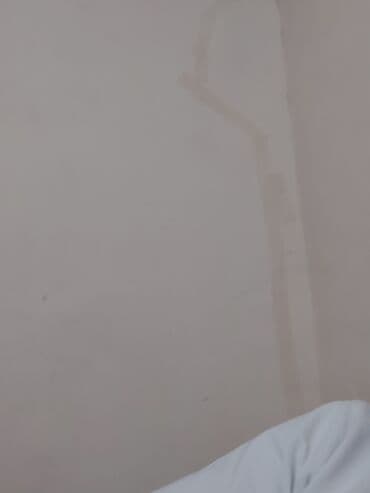 Qazlar: Hind toyuqları – müxtəlif rənglərdə və yaşlarda iri ətli cinslər - — 1