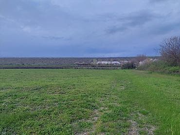 lalafo.az quba: Kənd təsərrüfatı — 5