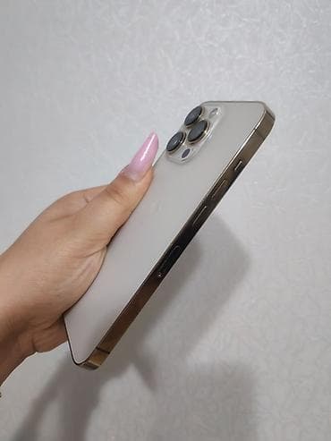 12 pro max case: IPhone 13 Pro, Qızılı, Face ID — 3