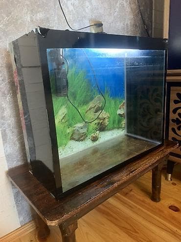 Dördbucaq akvarium, Boş, 20 l, Ünvandan götürmə — 7