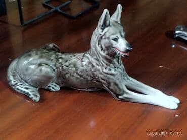 qara qarayev tibb kurslari: SSSR super vəziyyətə — 2