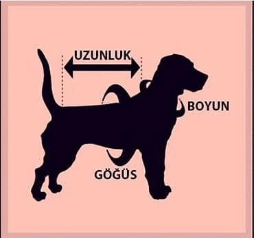tula it: İt üçün isti kombinezon Yaxın əraziyə pulsuz çatdırma - Model: tam — 7