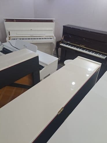 Lincoln: Belarus rusiya istesali renklenmis 3 pedal dasinma koklenme zemaneti — 2