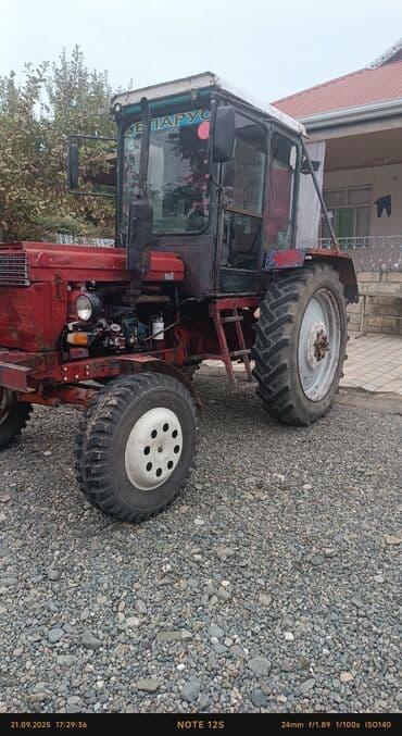 купить измельчитель сена бу: Belarus MTZ tipli təkərli traktor - Ön: dar (sıralararası) təkərli — 2