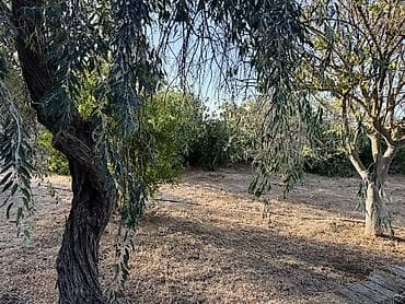 Квартиры: 14 соток, Для строительства, Купчая — 2