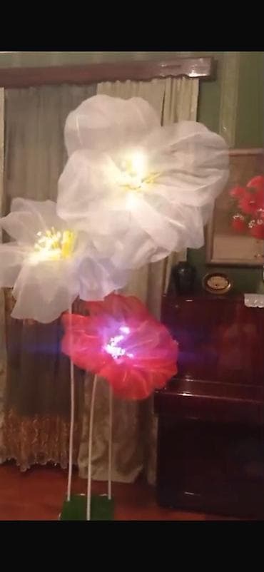 lavanta gülü: İşıqlı dekorativ nəhəng güllər kompozisiyası Öz əl işimdir birfən çox — 2