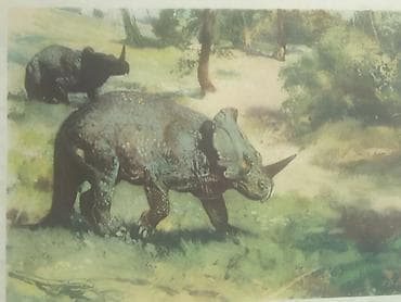 cipsi sekilleri: Məhsul: Dinozavr mövzusunda vintage illüstrasiya çapları dəsti — 5