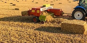 Tecili saman satilir! arpa samani içi yoncalidi super samandi mala lalafo.az -da Tecili saman satilir! arpa samani içi yoncalidi super samandi mala