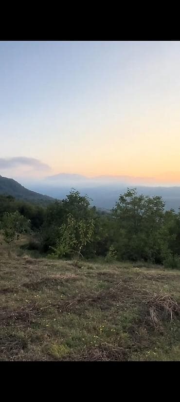 əmlak satışı: 68 sot, Kənd təsərrüfatı, Mülkiyyətçi, Kupça (Çıxarış) — 3