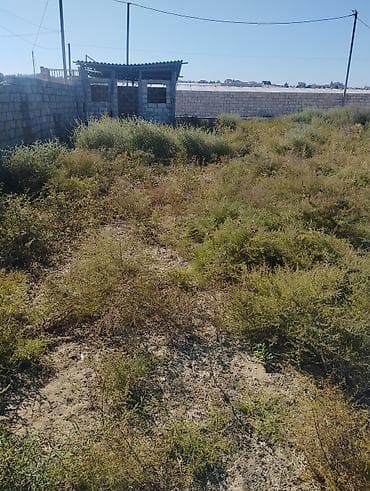 samuxda torpaq satilir: Tikinti — 1