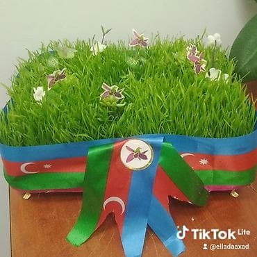 Novruz üçün bəzədilmiş səməni kompozisiyası - Səliqəli formada